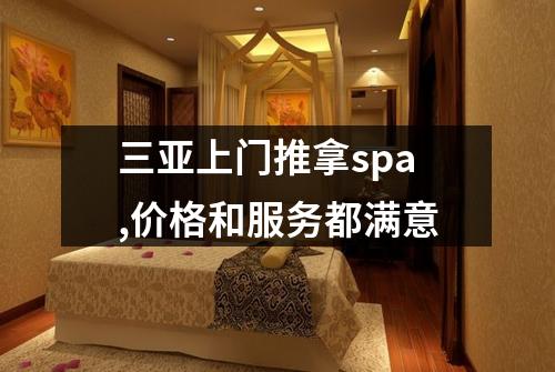 三亚上门推拿spa,价格和服务都满意