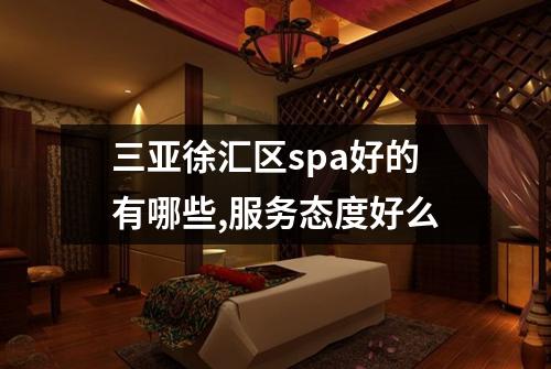 三亚徐汇区spa好的有哪些,服务态度好么