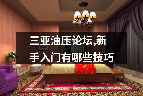 三亚油压论坛,新手入门有哪些技巧